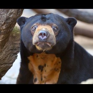 Meet your Posher, Devin